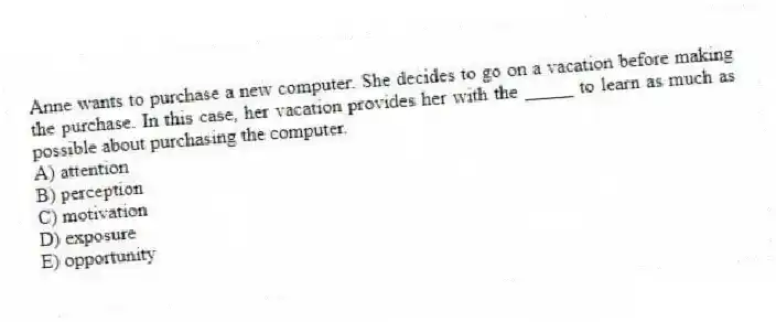 Anne wants to purchase a new computer. She decides to go on a vacation before making the purchase. In this case, her vacation provides her with the _____ to learn as much as possible about purchasing the computer.
A) attention
B) perception
C) motivation
D) exposure
E) opportunity
