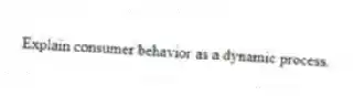 Explain consumer behavior as a dynamic process.