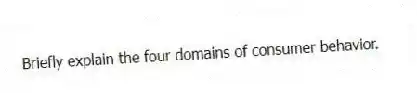 Briefly explain the four domains of consumer behavior.