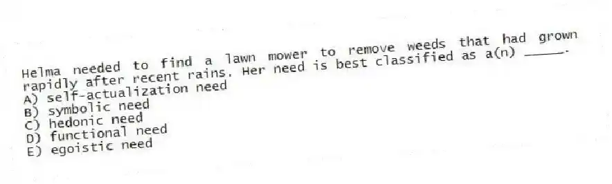 Helma needed to find a lawn mower to remove weeds that had grown rapidly after recent rains. Her need is best classified as a(n) _____.
A) self-actualization need
B) symbolic need
C) hedonic need
D) functional need
E) egoistic need
