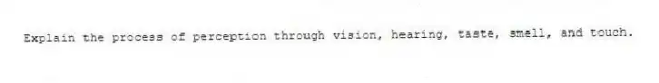 Explain the process of perception through vision, hearing, taste, smell, and touch.
