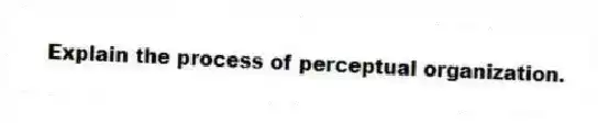 Explain the process of perceptual organization.