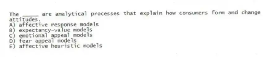 The _____ are analytical processes that explain how consumers form and change attitudes.
A) affective response models
B) expectancy-value models
C) emotional appeal models
D) fear appeal models
E) affective heuristic models