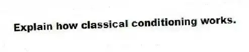 Explain how classical conditioning works.
