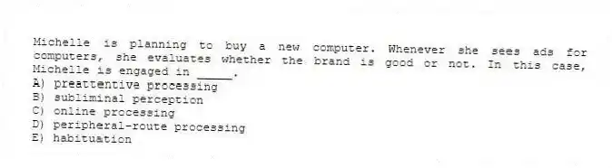 Michelle is planning to buy a new computer. Whenever she sees ads for computers, she evaluates whether the brand is good or not. In this case, Michelle is engaged in _____.
A) preattentive processing
B) subliminal perception
C) online processing
D) peripheral-route processing
E) habituation
