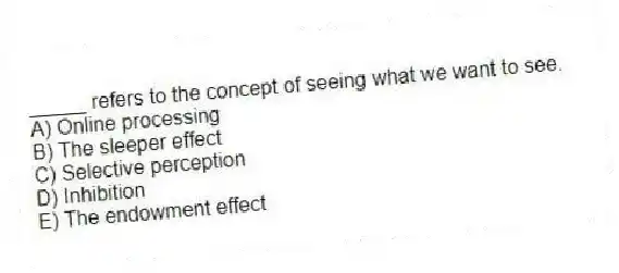 _____ refers to the concept of seeing what we want to see.
A) Online processing
B) The sleeper effect
C) Selective perception
D) Inhibition
E) The endowment effect