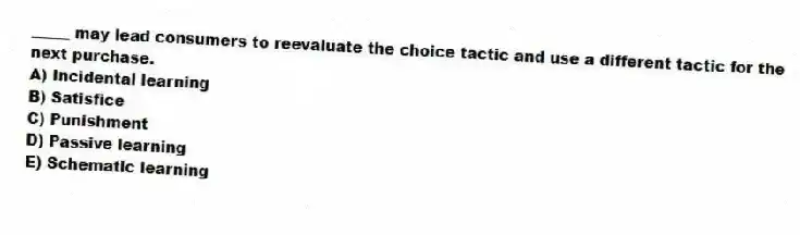 _____ may lead consumers to reevaluate the choice tactic and use a different tactic for the next purchase.
A) Incidental learning
B) Satisfice
C) Punishment
D) Passive learning
E) Schematic learning