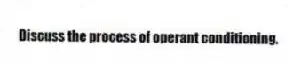 Discuss the process of operant conditioning.