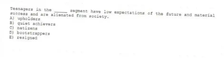 Teenagers in the _____ segment have low expectations of the future and material success and are alienated from society.
A) upholders
B) quiet achievers
C) netizens
D) bootstrappers
E) resigned