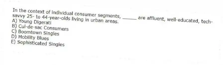 In the context of individual consumer segments, _____ are affluent, well-educated, tech-savvy 25- to 44-year-olds living in urban areas.
A) Young Digerati
B) Cul-de-sac Consumers
C) Boomtown Singles
D) Mobility Blues
E) Sophisticated Singles