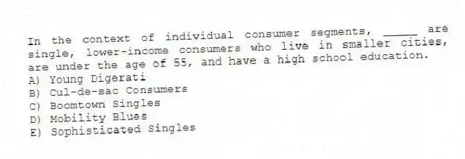 In the context of individual consumer segments, _____ are single, lower-income consumers who live in smaller cities, are under the age of 55, and have a high school education.
A) Young Digerati
B) Cul-de-sac Consumers
C) Boomtown Singles
D) Mobility Blues
E) Sophisticated Singles