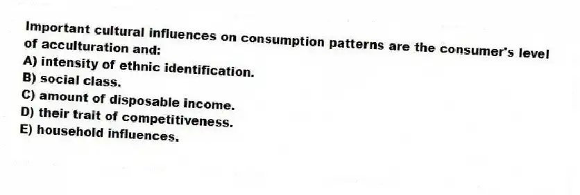 Important cultural influences on consumption patterns are the consumer's level of acculturation and:
A) intensity of ethnic identification.
B) social class.
C) amount of disposable income.
D) their trait of competitiveness.
E) household influences.