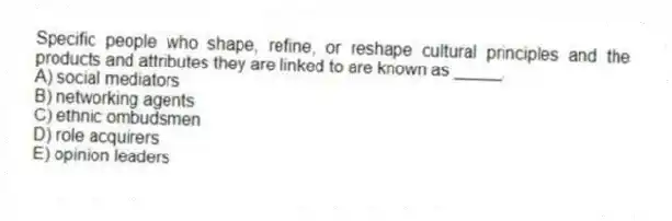 Specific people who shape, refine, or reshape cultural principles and the products and attributes they are linked to are known as _____.
A) social mediators
B) networking agents
C) ethnic ombudsmen
D) role acquirers
E) opinion leaders