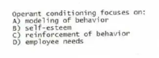 Operant conditioning focuses on:
A) modeling of behavior
B) self-esteem
C) reinforcement of behavior
D) employee needs