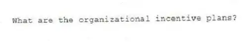 What are the organizational incentive plans?