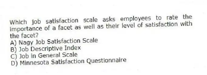 Which job satisfaction scale asks employees to rate the importance of a facet as well as their level of satisfaction with the facet?
A) Nagy Job Satisfaction Scale
B) Job Descriptive Index
C) Job in General Scale
D) Minnesota Satisfaction Questionnaire