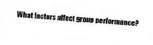 What factors affect group performance?