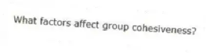 What factors affect group cohesiveness?