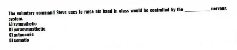The voluntary command Steve uses to raise his hand in class would be controlled by the __________ nervous system.
A) sympathetic
B) parasympathetic
C) autonomic
D) somatic