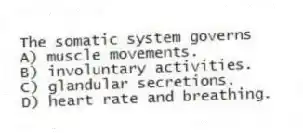 The somatic system governs
A) muscle movements.
B) involuntary activities.
C) glandular secretions.
D) heart rate and breathing.