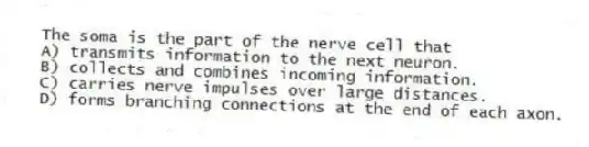 The soma is the part of the nerve cell that
A) transmits information to the next neuron.
B) collects and combines incoming information.
C) carries nerve impulses over large distances.
D) forms branching connections at the end of each axon.