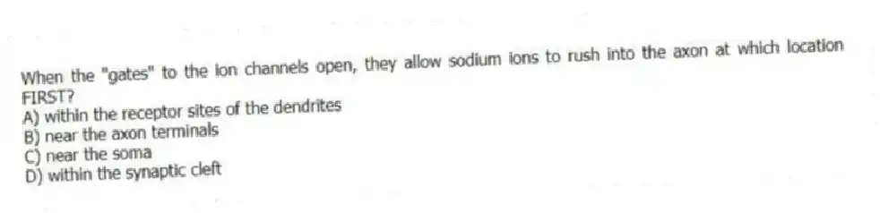 When the "gates" to the ion channels open, they allow sodium ions to rush into the axon at which location FIRST?
A) within the receptor sites of the dendrites
B) near the axon terminals
C) near the soma
D) within the synaptic cleft