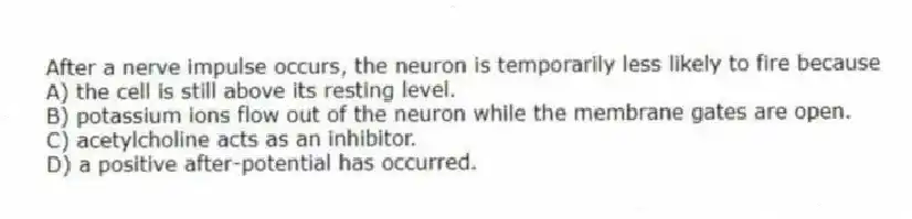 After a nerve impulse occurs, the neuron is temporarily less likely to fire because
A) the cell is still above its resting level.
B) potassium ions flow out of the neuron while the membrane gates are open.
C) acetylcholine acts as an inhibitor.
D) a positive after-potential has occurred.