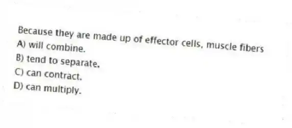 Because they are made up of effector cells, muscle fibers
A) will combine.
B) tend to separate.
C) can contract.
D) can multiply.