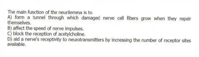 The main function of the neurilemma is to
A) form a tunnel through which damaged nerve cell fibers grow when they repair themselves.
B) affect the speed of nerve impulses.
C) block the reception of acetylcholine.
D) aid a nerve's receptivity to neurotransmitters by increasing the number of receptor sites available.