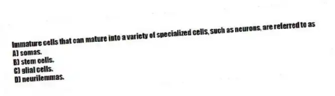 Immature cells that can mature into a variety of specialized cells, such as neurons, are referred to as
A) somas.
B) stem cells.
C) glial cells.
D) neurilemmas.