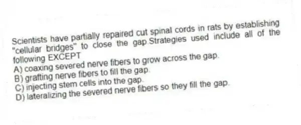 Scientists have partially repaired cut spinal cords in rats by establishing "cellular bridges" to close the gap.Strategies used include all of the following EXCEPT
A) coaxing severed nerve fibers to grow across the gap.
B) grafting nerve fibers to fill the gap.
C) injecting stem cells into the gap.
D) lateralizing the severed nerve fibers so they fill the gap.