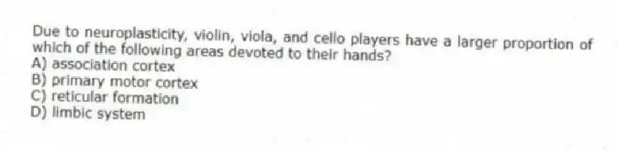 Due to neuroplasticity, violin, viola, and cello players have a larger proportion of which of the following areas devoted to their hands?
A) association cortex
B) primary motor cortex
C) reticular formation
D) limbic system