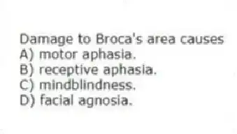 Damage to Broca's area causes
A) motor aphasia.
B) receptive aphasia.
C) mindblindness.
D) facial agnosia.