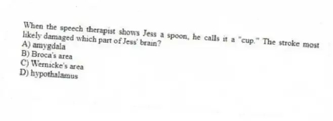 When the speech therapist shows Jess a spoon, he calls it a "cup." The stroke most likely damaged which part of Jess' brain?
A) amygdala
B) Broca's area
C) Wernicke's area
D) hypothalamus