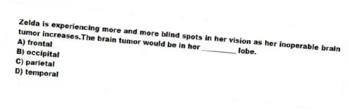 Zelda is experiencing more and more blind spots in her vision as her inoperable brain tumor increases.The brain tumor would be in her __________ lobe.
A) frontal
B) occipital
C) parietal
D) temporal