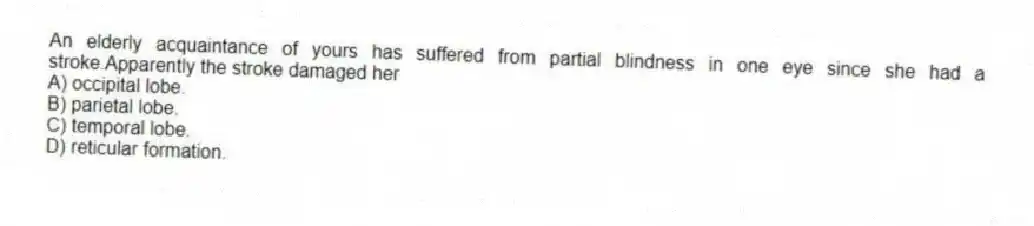 An elderly acquaintance of yours has suffered from partial blindness in one eye since she had a stroke.Apparently the stroke damaged her
A) occipital lobe.
B) parietal lobe.
C) temporal lobe.
D) reticular formation.