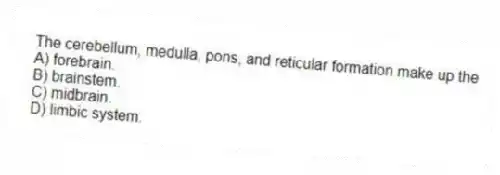 The cerebellum, medulla, pons, and reticular formation make up the
A) forebrain.
B) brainstem.
C) midbrain.
D) limbic system.