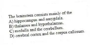 The brainstem consists mainly of the
A) hippocampus and amygdala.
B) thalamus and hypothalamus.
C) medulla and the cerebellum.
D) cerebral cortex and the corpus callosum.