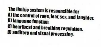 The limbic system is responsible for
A) the control of rage, fear, sex, and laughter.
B) language function.
C) heartbeat and breathing regulation.
D) auditory and visual processing.