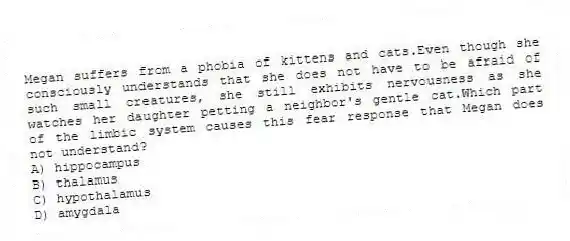 Megan suffers from a phobia of kittens and cats.Even though she consciously understands that she does not have to be afraid of such small creatures, she still exhibits nervousness as she watches her daughter petting a neighbor's gentle cat.Which part of the limbic system causes this fear response that Megan does not understand?
A) hippocampus
B) thalamus
C) hypothalamus
D) amygdala