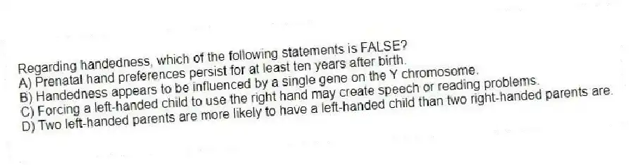 Regarding handedness, which of the following statements is FALSE?
A) Prenatal hand preferences persist for at least ten years after birth.
B) Handedness appears to be influenced by a single gene on the Y chromosome.
C) Forcing a left-handed child to use the right hand may create speech or reading problems.
D) Two left-handed parents are more likely to have a left-handed child than two right-handed parents are.
