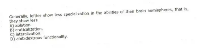 Generally, lefties show less specialization in the abilities of their brain hemispheres, that is, they show less
A) ablation.
B) corticalization.
C) lateralization.
D) ambidextrous functionality.