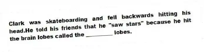 Clark was skateboarding and fell backwards hitting his head.He told his friends that he "saw stars" because he hit the brain lobes called the __________ lobes.