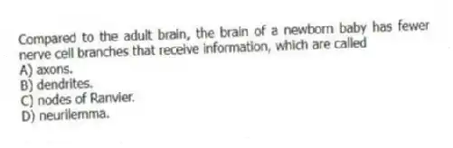 Compared to the adult brain, the brain of a newborn baby has fewer nerve cell branches that receive information, which are called
A) axons.
B) dendrites.
C) nodes of Ranvier.
D) neurilemma.