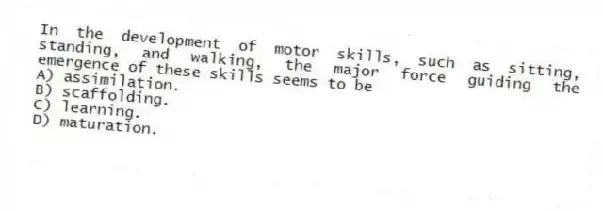 In the development of motor skills, such as sitting, standing, and walking, the major force guiding the emergence of these skills seems to be
A) assimilation.
B) scaffolding.
C) learning.
D) maturation.