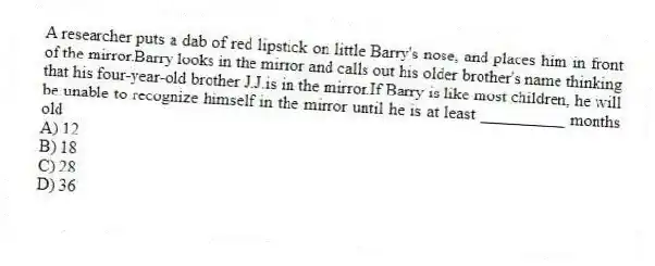 A researcher puts a dab of red lipstick on little Barry's nose, and places him in front of the mirror.Barry looks in the mirror and calls out his older brother's name thinking that his four-year-old brother J.J.is in the mirror.If Barry is like most children, he will be unable to recognize himself in the mirror until he is at least __________ months old
A) 12
B) 18
C) 28
D) 36
