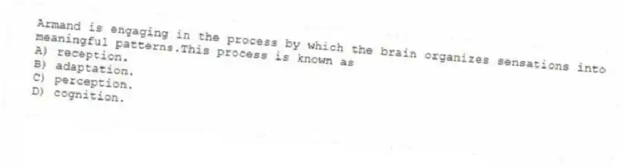 Armand is engaging in the process by which the brain organizes sensations into meaningful patterns.This process is known as
A) reception.
B) adaptation.
C) perception.
D) cognition.