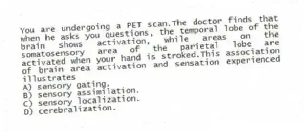 You are undergoing a PET scan.The doctor finds that when he asks you questions, the temporal lobe of the brain shows activation, while areas on the somatosensory area of the parietal lobe are activated when your hand is stroked.This association of brain area activation and sensation experienced illustrates
A) sensory gating.
B) sensory assimilation.
C) sensory localization.
D) cerebralization.