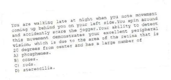 You are walking late at night when you note movement coming up behind you on your left side.You spin around and accidently scare the jogger.Your ability to detect this movement demonstrates your excellent peripheral vision, which is due to the area of the retina that is 20 degrees from center and has a large number of
A) phosphenes.
B) cones.
C) rods.
D) stereocilia.