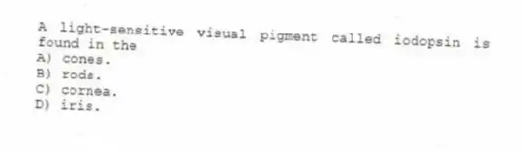 A light-sensitive visual pigment called iodopsin is found in the
A) cones.
B) rods.
C) cornea.
D) iris.